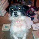 Sandra edgington - @Sandraedgington - Twitter