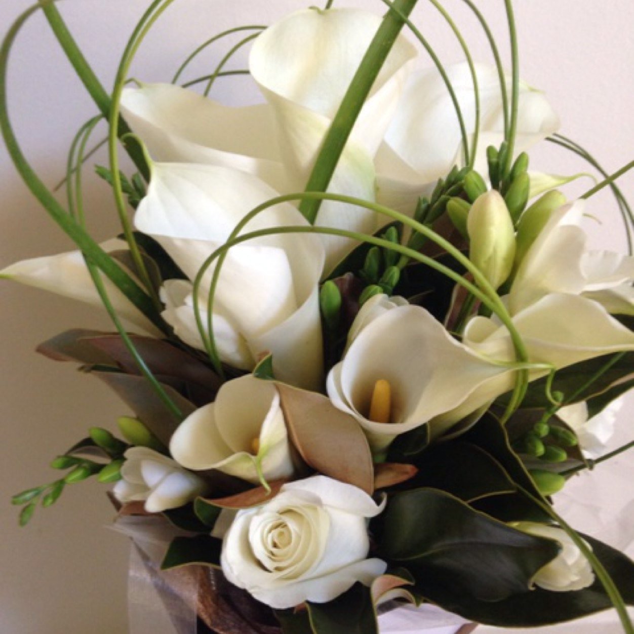 Robdog1957's profile picture. Specialist Wedding Florist. Loves the perfume of beautiful flowers . Looking forward to being asked to do  flowers for Prince Harry's wedding.