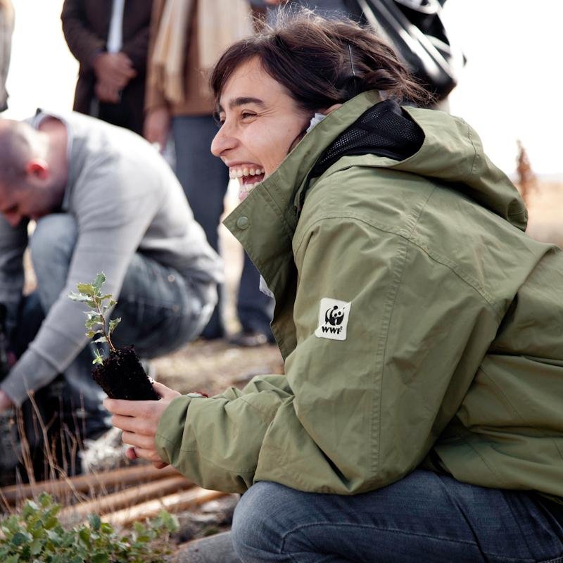 Recuperando los bosques con WWF