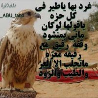 تواصل بني سليم (@sadalsulme12131) 's Twitter Profile Photo