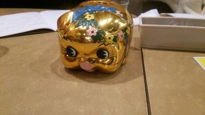 sign0928's profile picture. 毎月第2日曜日の14時から、大阪市内の施設を中心に活動してます！
学生、社会人、手話歴に関係なくみんなで楽しく手話を学んでいます！
ぜひお気軽にお越し下さい🐷
遅刻、早退OK！申し込み不要です🐷🐽