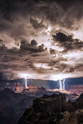 donniehoffecker's profile picture. 