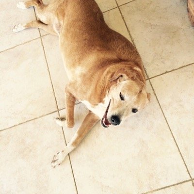 MarinaMsendar's profile picture. Owner Mariebella Boutique