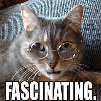 I make factual programmes on scientific discoveries and politics. I follow back. If you dislike cheesy presenters and Littlemix, this is the station for you.