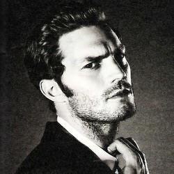 For the hardcore FSOG fan