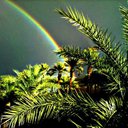 Julianna Ross Parks - @Juli_Ross_Parks - Twitter