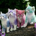 Renee Plumb - @ReneePlumb13 - Twitter