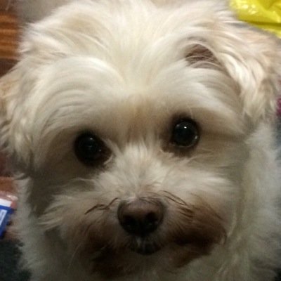 0xs24731726350's profile picture. みやぎ→くによし