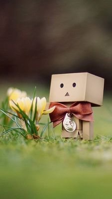 w_t_pooh217's profile picture. 