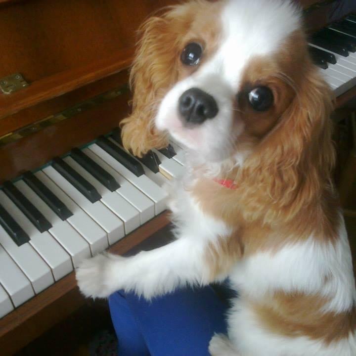 maxilover123's profile picture. 