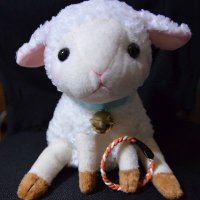 Ai (@ai_ab5160) 's Twitter Profile Photo