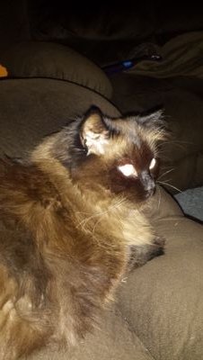 taylorman859's profile picture. 