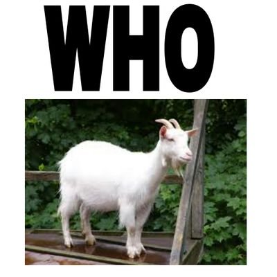 hugoatpa's profile picture. who goat pa po