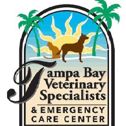 TBVSECC offers specialized veterinary services in Dentistry, Dermatology, Emergency, Internal Medicine, Ophthalmology, and Surgery.