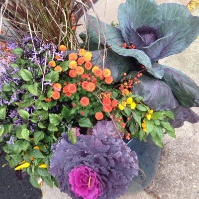 nmcmillen1's profile picture. 