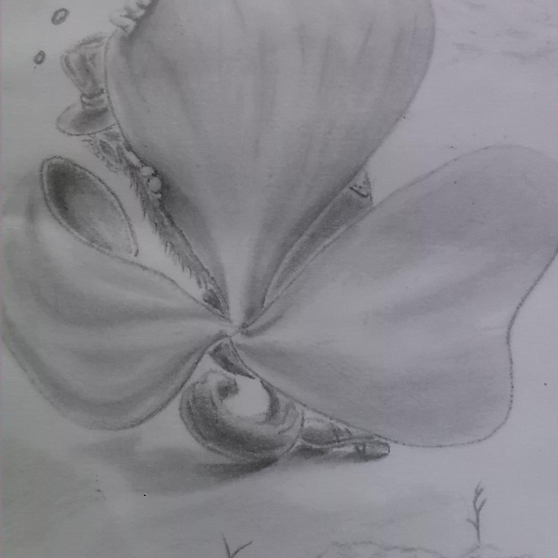 ARTS OF PENCIL, COLOR, INK, PHOTOGRAPH, CRAFTS, WRITING.PREPARING A CREATIVE ARTS WITH STORY.A POSITIVE COMMUNITY TO SHARE AND LEARN TOGETHER.