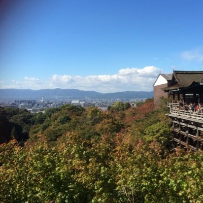 楽しい事が好き。