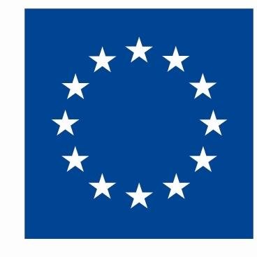Trans-European Network with 19 Network Member Organisations in 17 EU countries focusing on EU criminal justice(procedural rights and rights of victims of crime)
