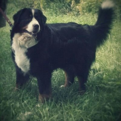 maryfoley1955's profile picture. 