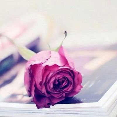 ‏‏اربعيني جاااد صادق كتوم .اكره الكذب والنصبين .راقي في تعملي مع الاخرين .احترم الجميع