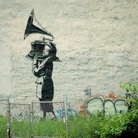 radiadora.org (@radiadoraorg) 's Twitter Profile