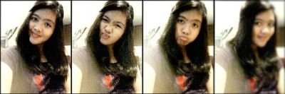 line : novitacaroll