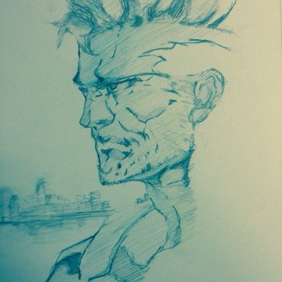 どなんさんのプロフィール画像