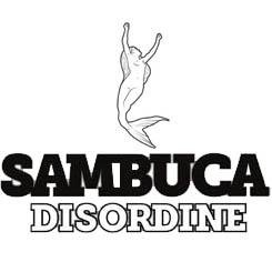 Sambuca Disordine is the result of the passion of five Italian musicians. It Is a sweet and intense liqueor of absolute quality. It Is the best Sambuca in the w