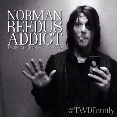 Norman Reedus Addict Profile