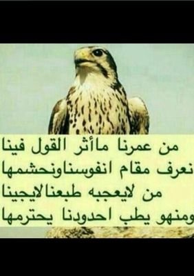 ‏ربي اني خذلت كثيرا ممن يظهرون لي عكس مايبطنون ف أرني عجائب قدرتك بأعز مايملكوون ياالله عاجلاليس اجل انت حسبي ونعم الوكيل وصل الله وسلم على نبينا واله وصحبه اجم