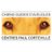 chienguide_nord's profile image