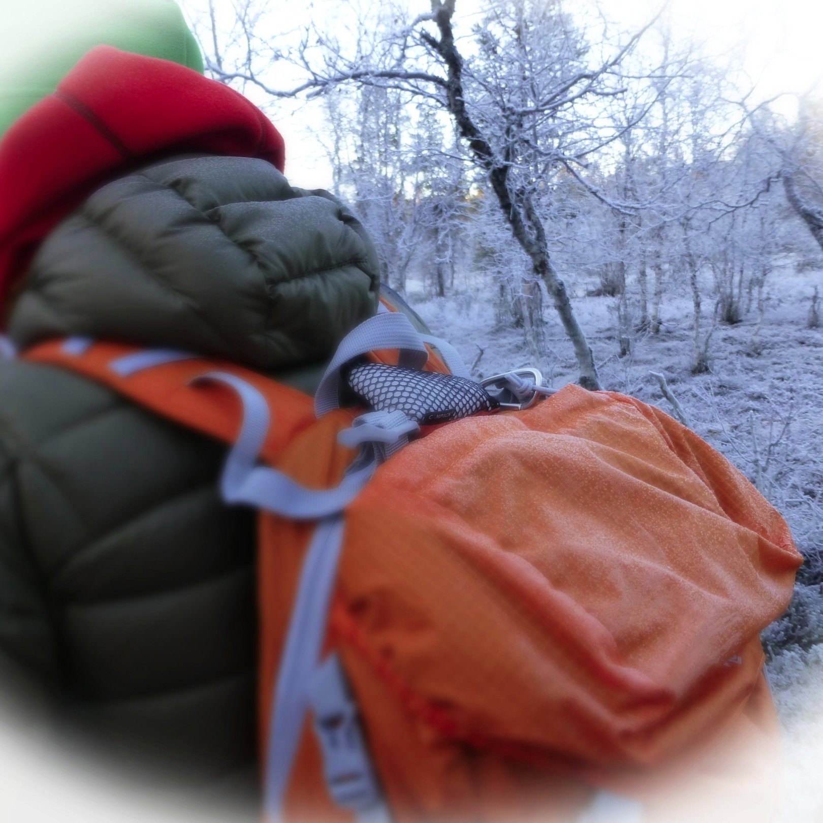 Dutch nature-lover, former ranger Staatsbosbeheer, now living in Germany's 'Fränkische Schweiz'