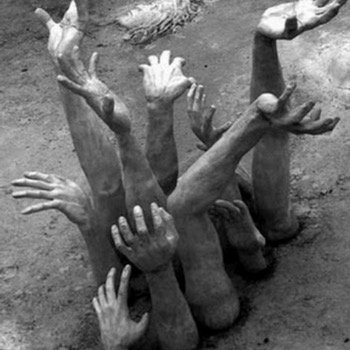 7aml_asfar's profile picture. رجل استقامته لا تطول واعوجاجه له مدلول تايه وضايع ... يعرف الحق ويخشاه وينكر الباطل ويلقاه