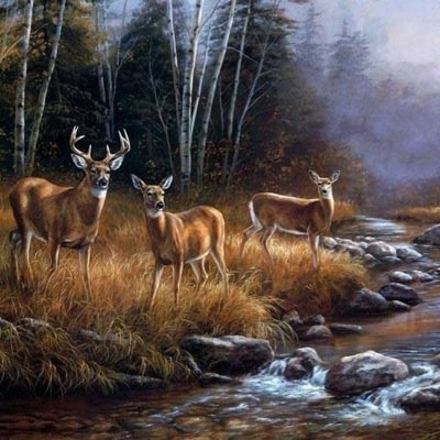 AlaraqiAlaraqi4's profile picture. 