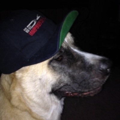 csandy10's profile picture. Huh?