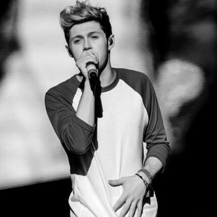 6 MESES DESDE QUE ONE DIRECTION PISO LA ARGENTINA