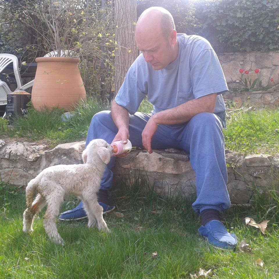 reydudu66's profile picture. 