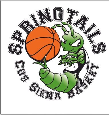 Gli Springtails - La squadra degli studenti agli studenti