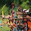Valley Archery Club Co-Director,                                                                        Valley Assistant Girls Golf Coach
