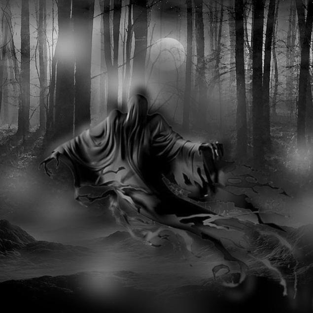 CapitalPython's profile picture. 