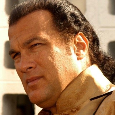 Parody Account. The best Steven Seagal films never to be made. Years of potential scripts, hundreds of sidekicks, years of undercover action.