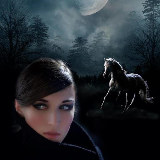 MLWoolley1's profile picture. 