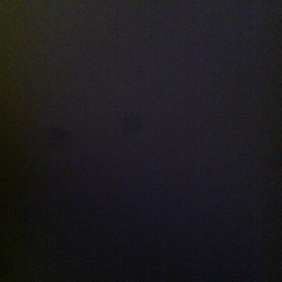 wiskerette_x's profile picture. 