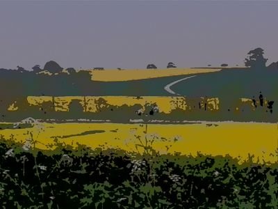 shirleyklink's profile picture. 