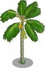 strong believer of peoples power