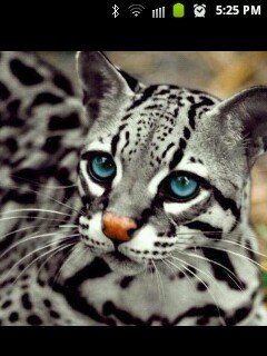 esmart21's profile picture. 