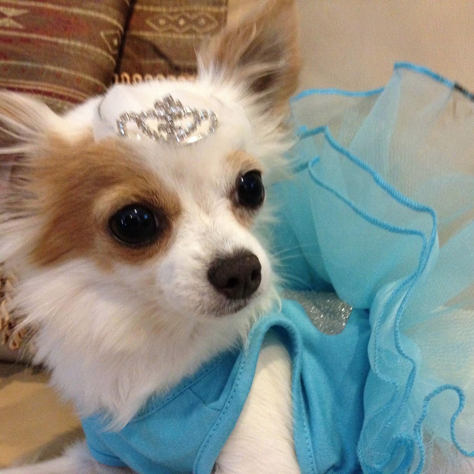 Princess AvaBisou