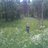 shefgreenestate's profile image
