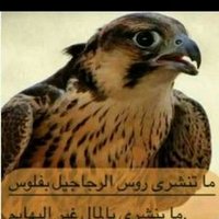 راعي مزاج (@abboudslobi) Twitter profile photo