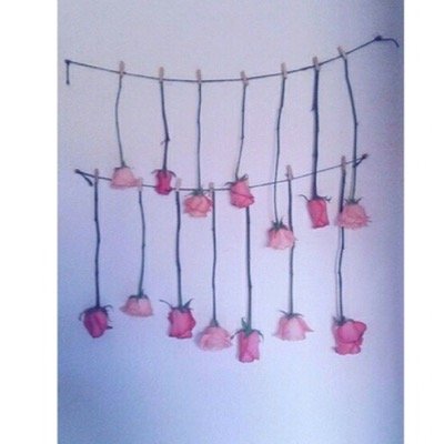 aminebilir1's profile picture. 